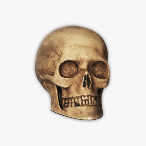 Calavera